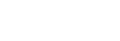 FPX Logo
